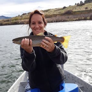 Meet your Posher, Audra